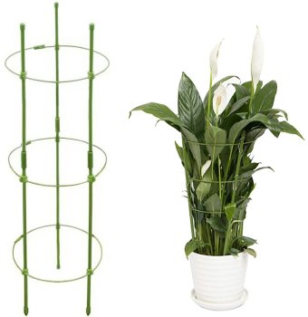 Plant Support Ring 60cm for Peonies and Garden Flowers