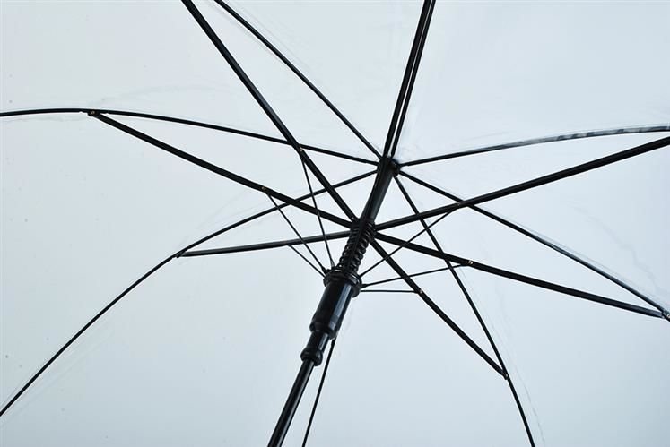 Transparent White Umbrella (0)