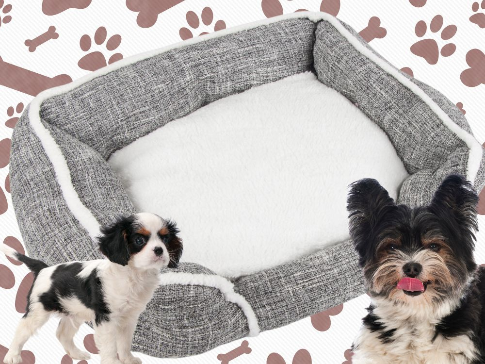 Soft and comfortable dog bed with pillow, size M (1)