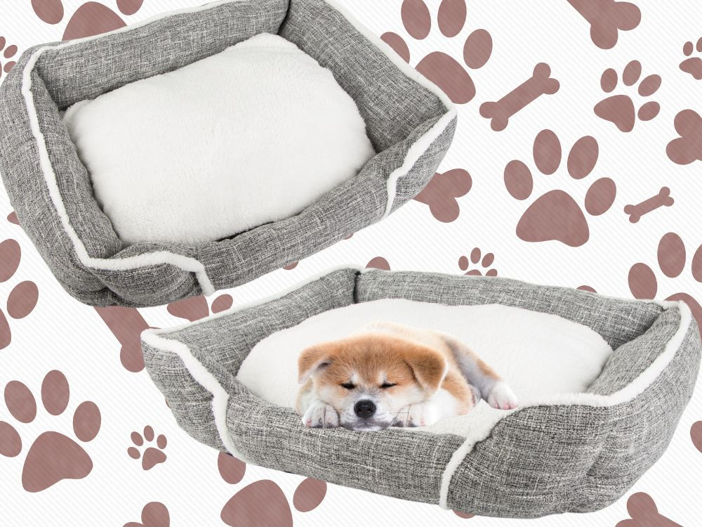 Soft and comfortable dog bed with pillow, size M (2)