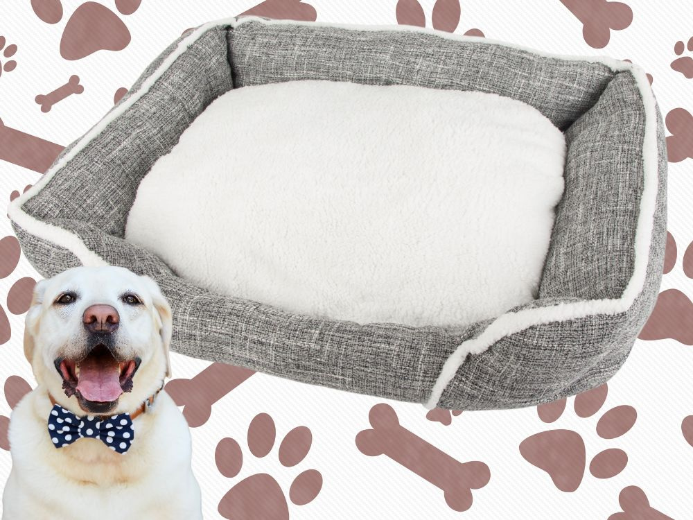 Soft and comfortable dog bed with pillow, size L (1)