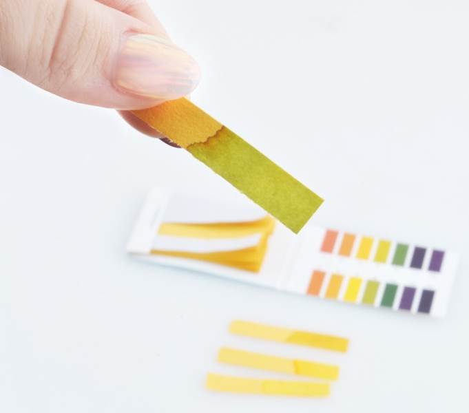 Litmus Test Paper pH Test Strips, 80 pcs (1)