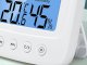 Weather Station, Thermometer, Hygrometer, Clock