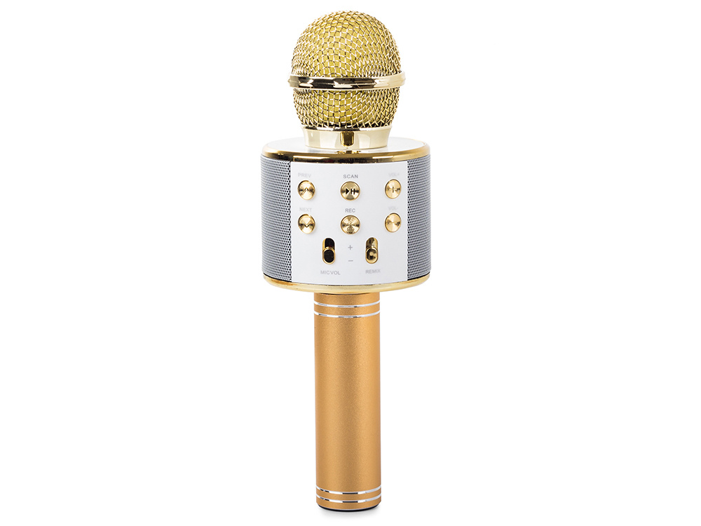 Wireless Karaoke Microphone with Bluetooth Speaker, Echo, and Voice Changer (0)