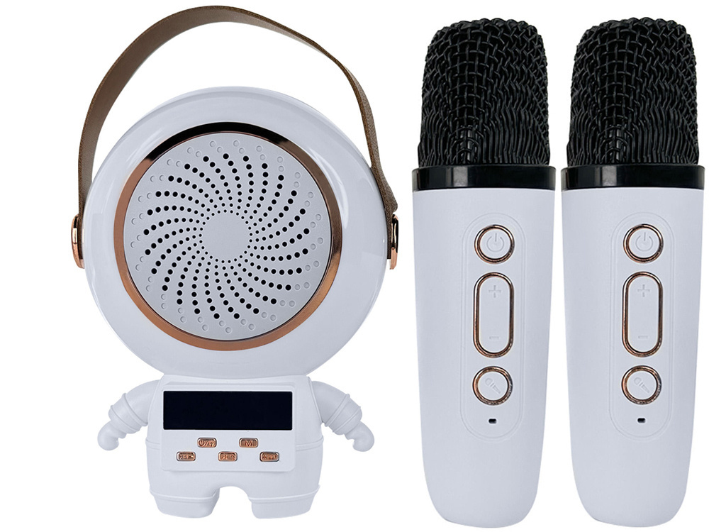 Portable Karaoke Machine with 2 Wireless Microphones and Bluetooth Speaker (0)