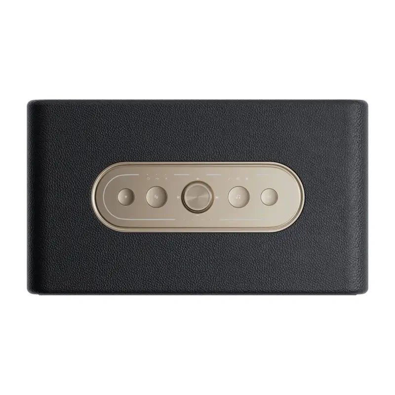 Portable Wireless Speaker QCY SP300 40W Black (3)