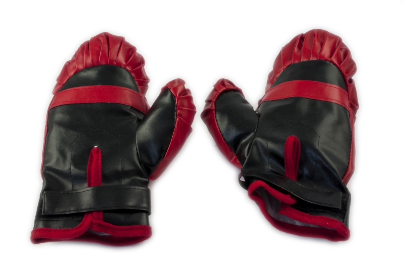 Kids Boxing Punch Pear with Gloves