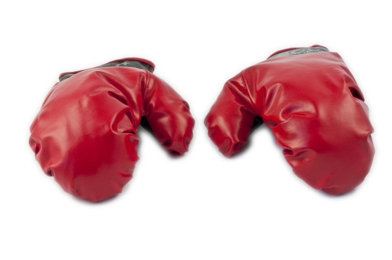 Kids Boxing Punch Pear with Gloves