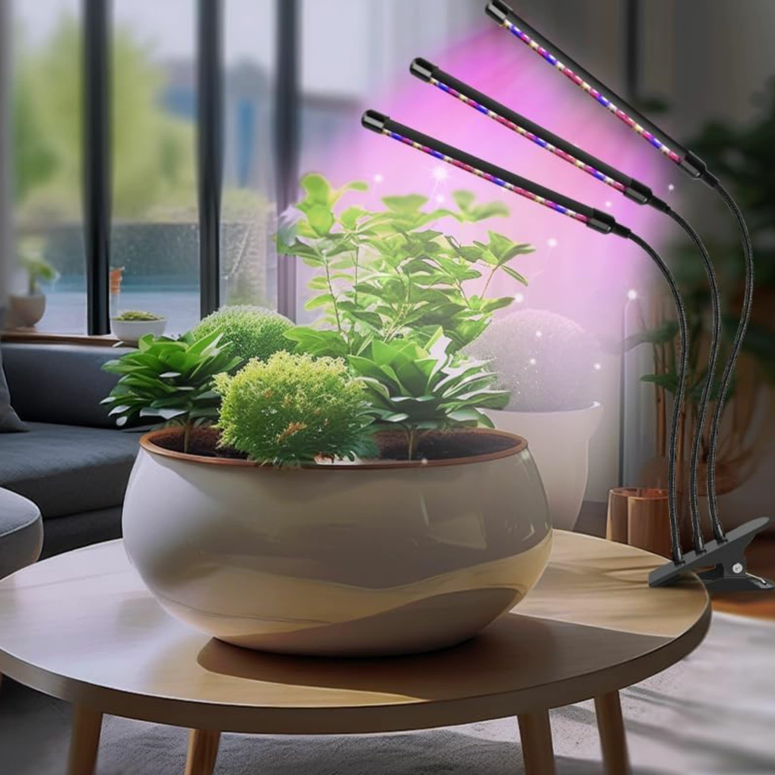 LED augu lampa pilna spektra iekštelpu augiem