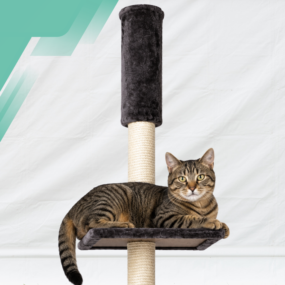 Karlie Cometa Floor-to-Ceiling Cat Tree Scratching Post 233-263 cm, Grey-Beige