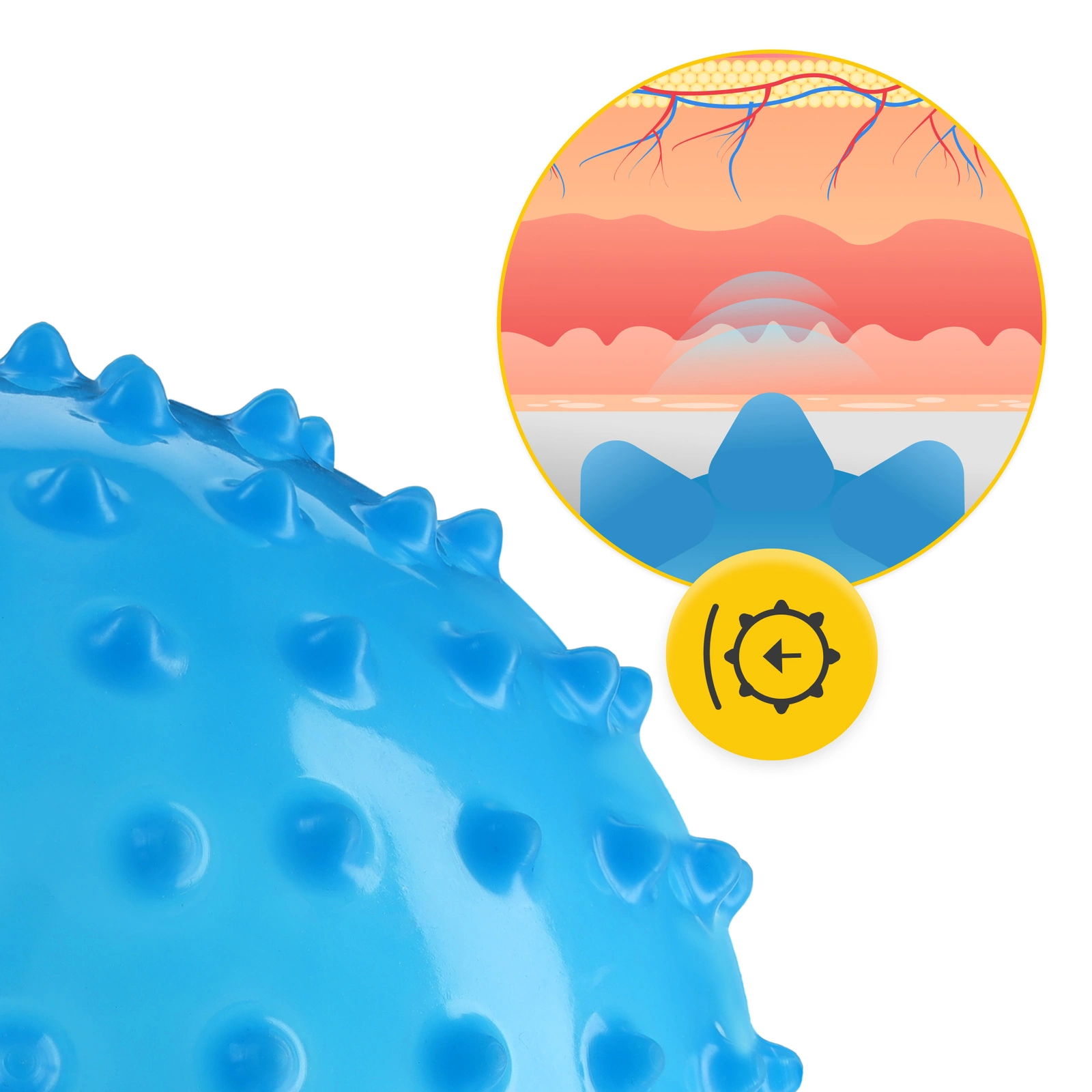 4Fizjo 1532 Sensory Rehabilitation Ball with Spikes, 20 cm, Blue