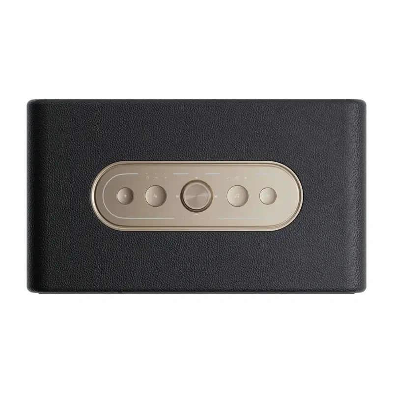 Portable Wireless Speaker QCY SP300 40W Black