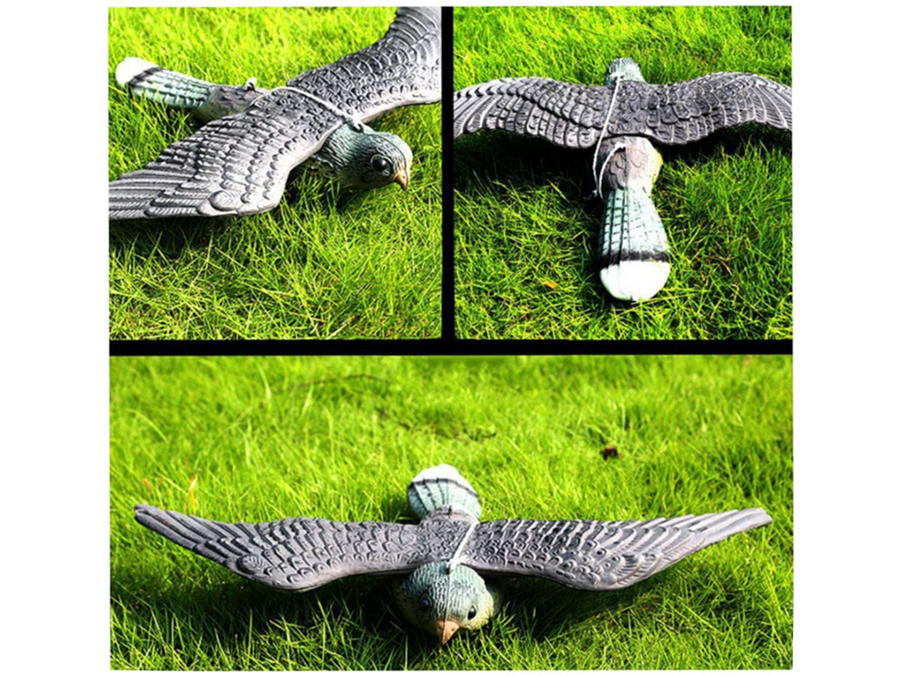 Bird and Rodent Repeller – Falcon Predator Decoy XXL