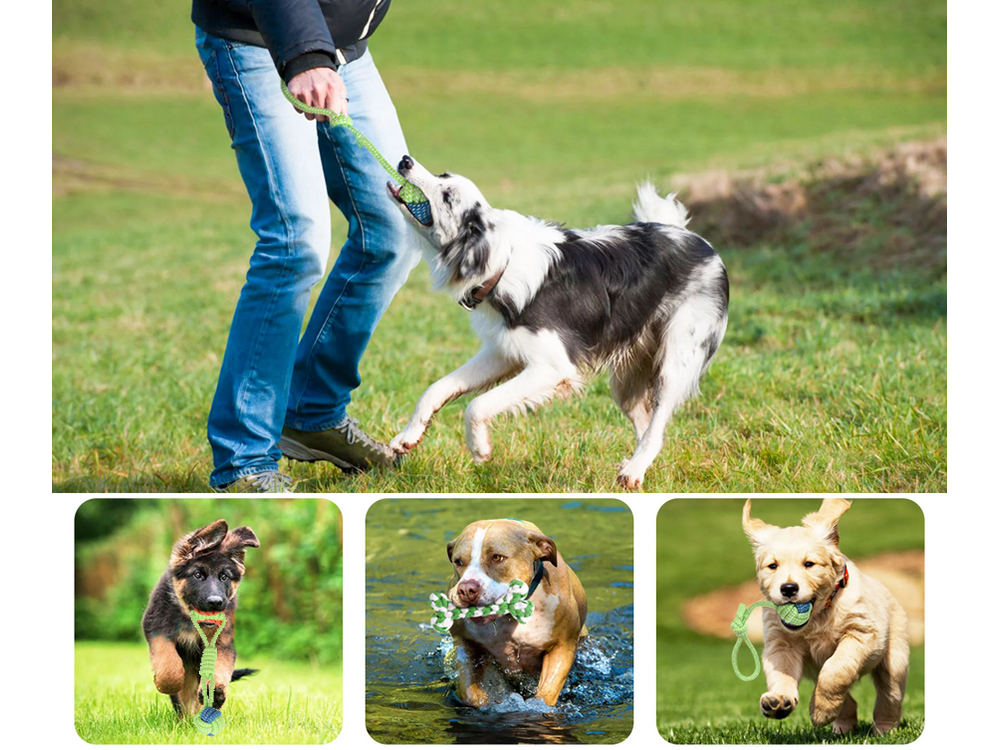 Durable Dog Rope Toy with Ball for Tugging and Chewing