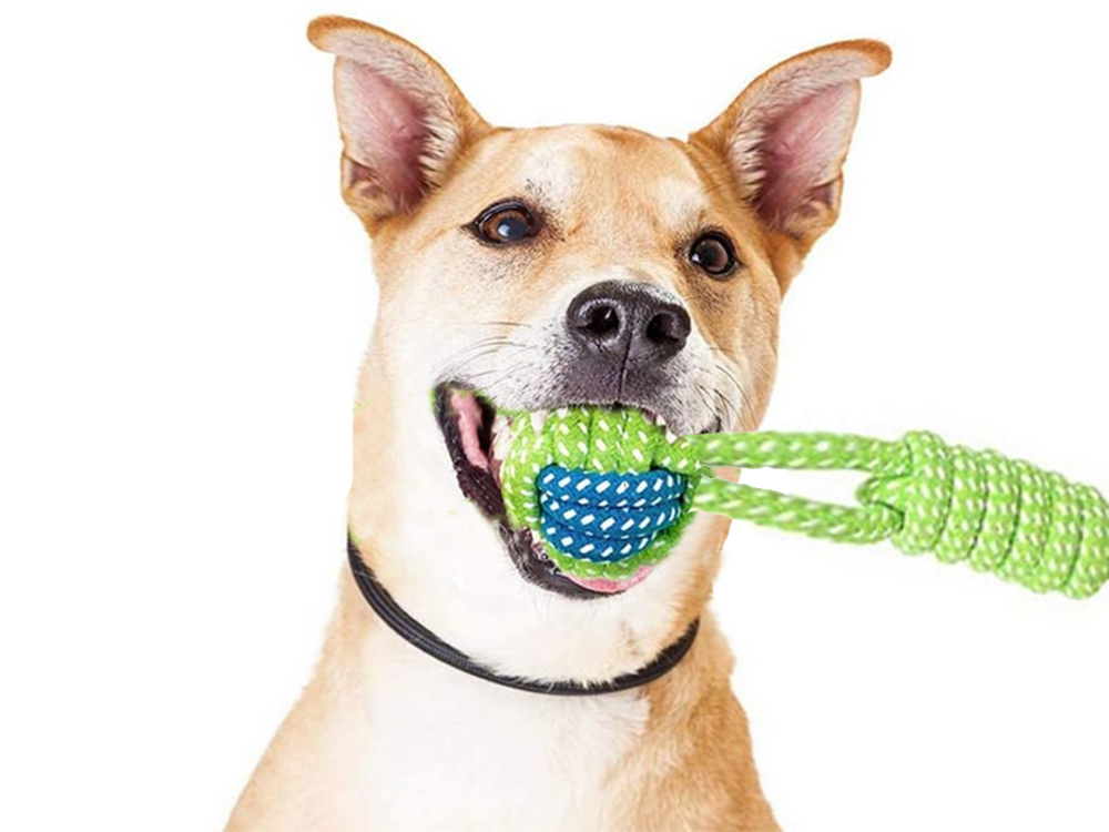 Durable Dog Rope Toy with Ball for Tugging and Chewing