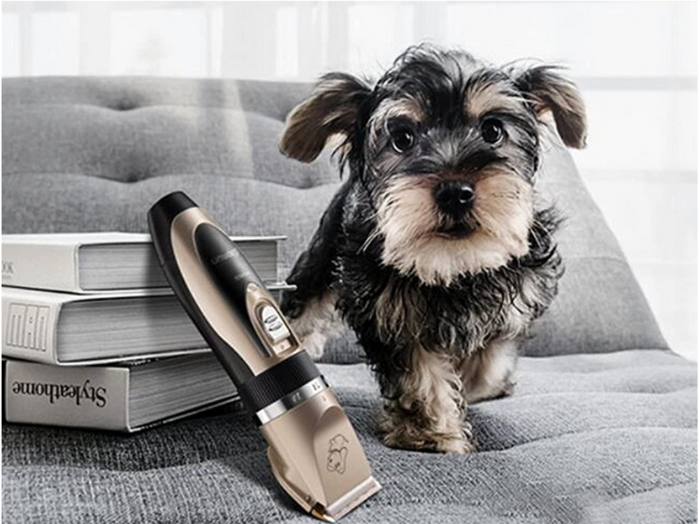 Cordless Low Noise Dog Grooming Clippers Kit for Pets