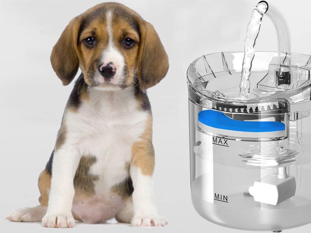 Quiet Automatic Cat Water Fountain Pet Water Dispenser 1.8L