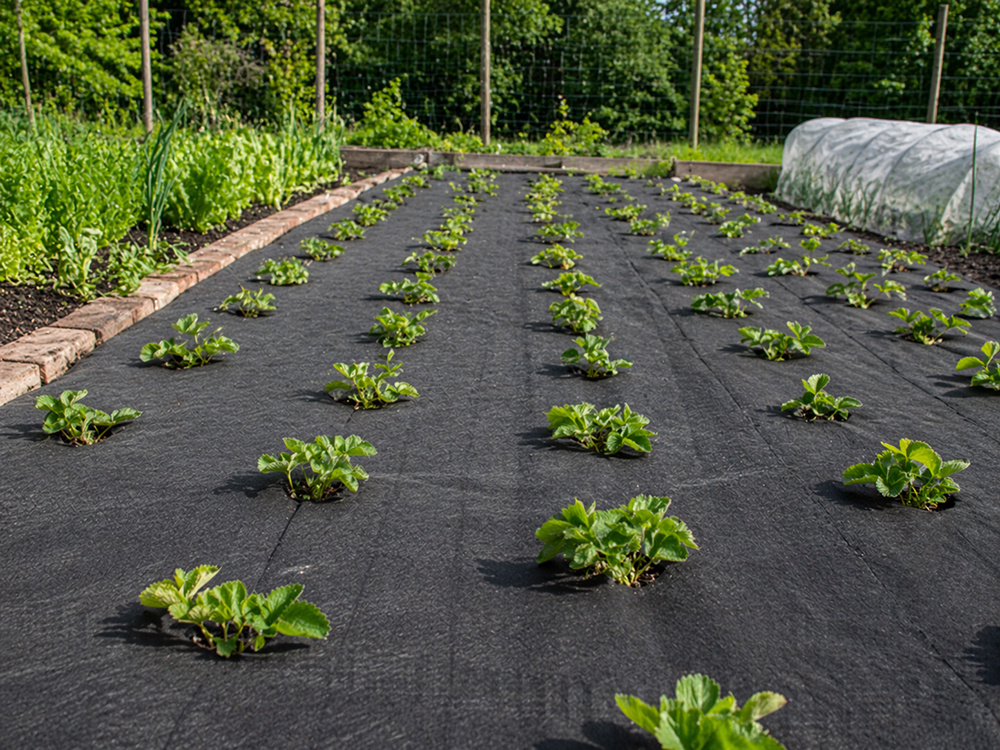 DIVODV Black Weed Control Fabric 50g/m² 1.5m x 30m