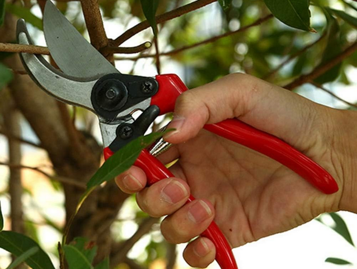 Hand Pruner Shrub Pruning Shears Garden Tool, Red