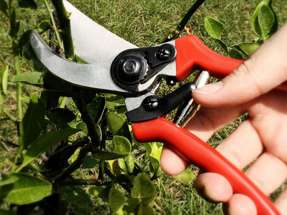 Hand Pruner Shrub Pruning Shears Garden Tool, Red