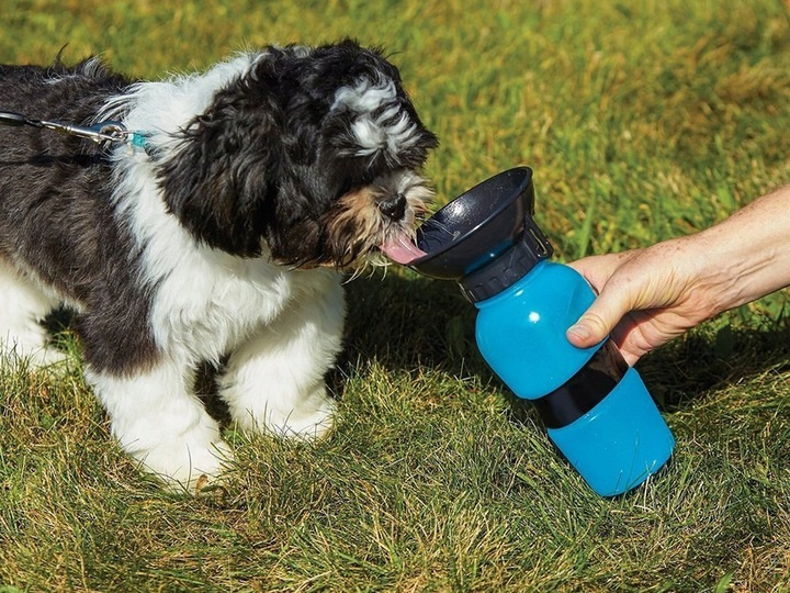Portable Travel Water Bottle with Dispenser for Dogs Pets 0.5L