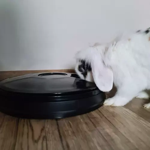 Dozators Bļoda Konteiners 6 x 150 ml Suņiem Kaķiem Mājdzīvniekiem, Melns | Food Dispenser Bowl Container-Dispenser