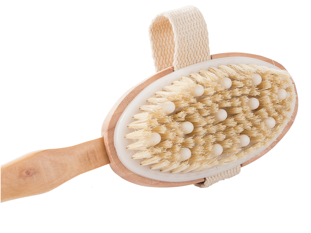 Brush Improving Blood Circulation for Dry and Wet Body Massage, 42 cm