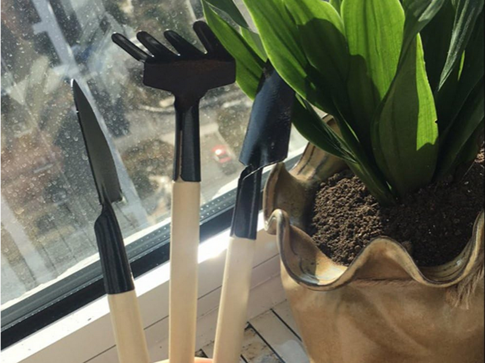 Mini Garden Tool Set 3-in-1, Trowel and Rake for Indoor Plants