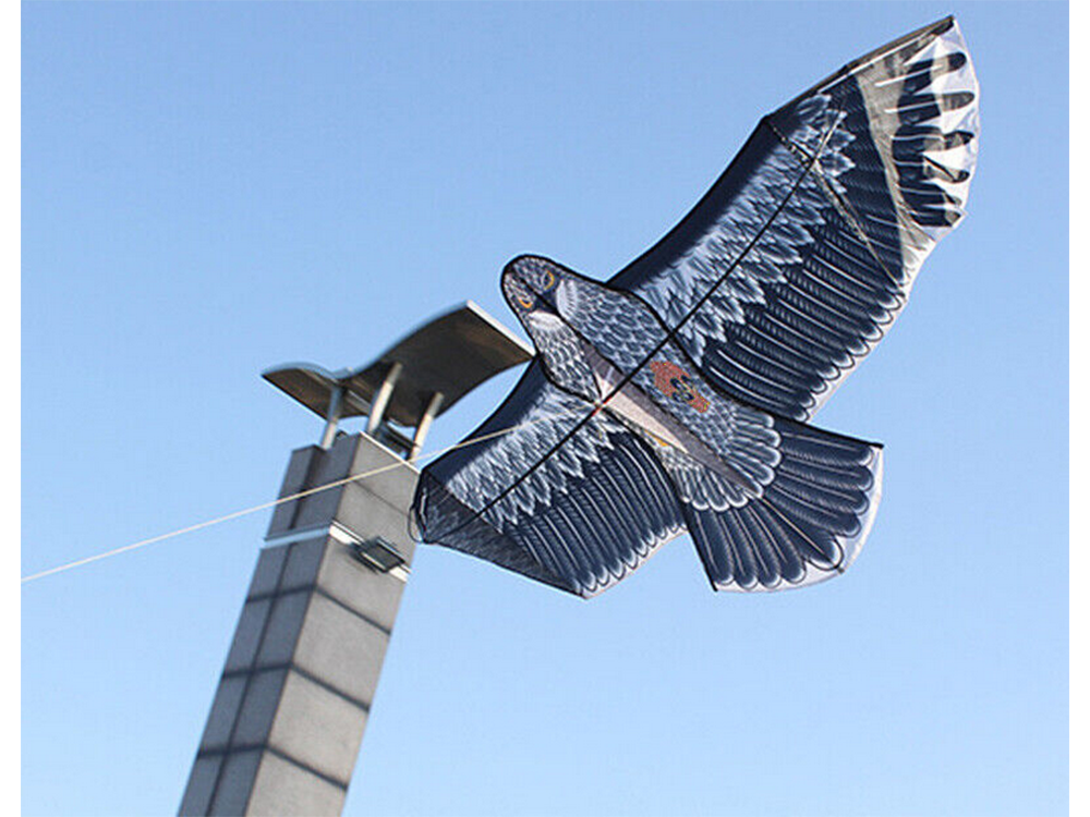 Flying Kite Eagle, 200cm