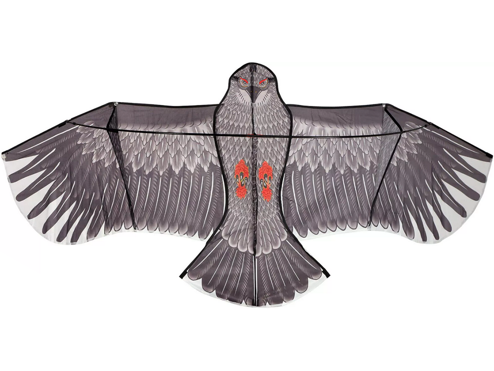 Flying Kite Eagle, 200cm