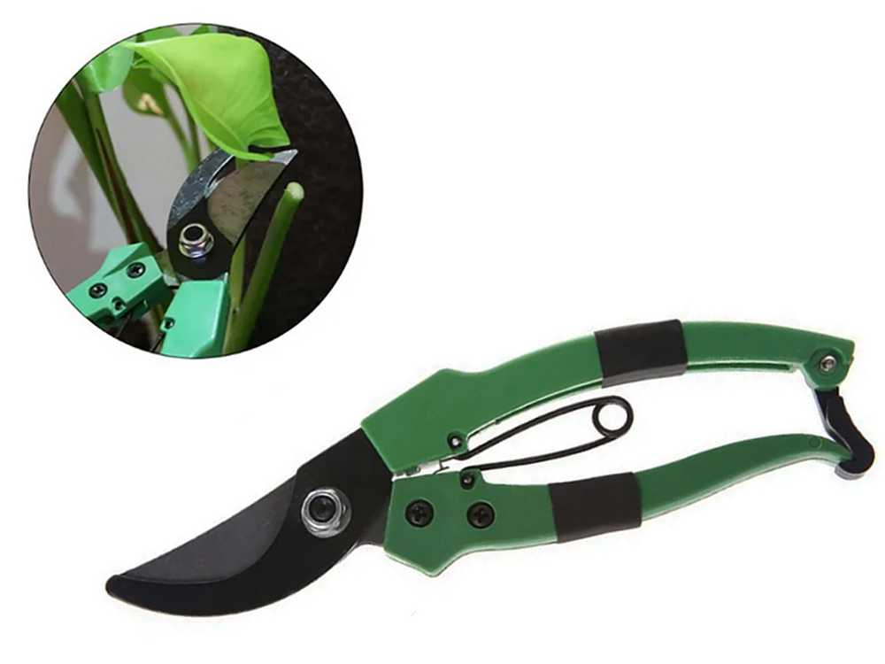 Garden pruner for grafting trees and shrubs green, 18x11 cm
