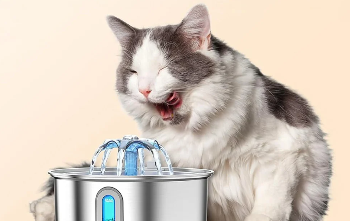 Oneisall PWF-001-1 Stainless Steel Water Fountain for Dogs and Cats, 2L