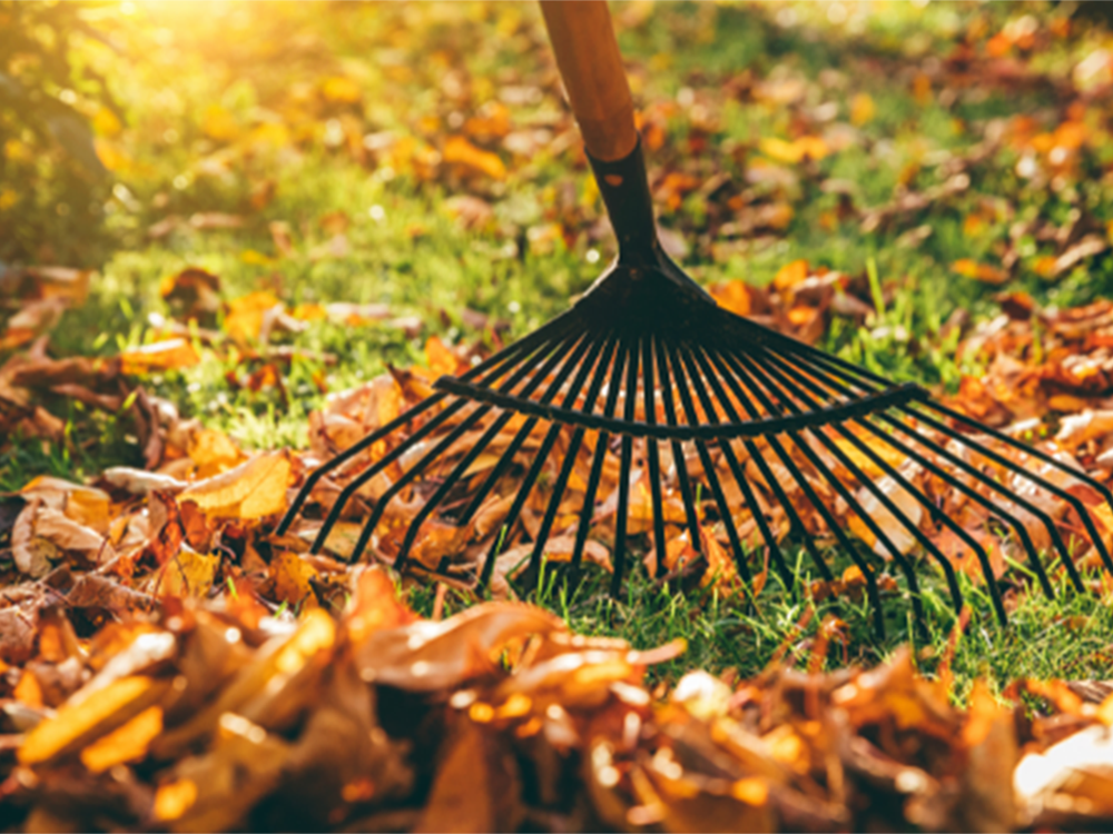 Metal Garden Rake For Grass Leaves, 36 cm