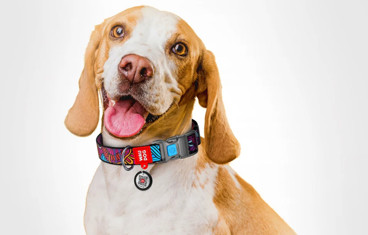 Waudog Neilona suņu apkakle ar QR kodu izmērs S, Summer | Dog collar