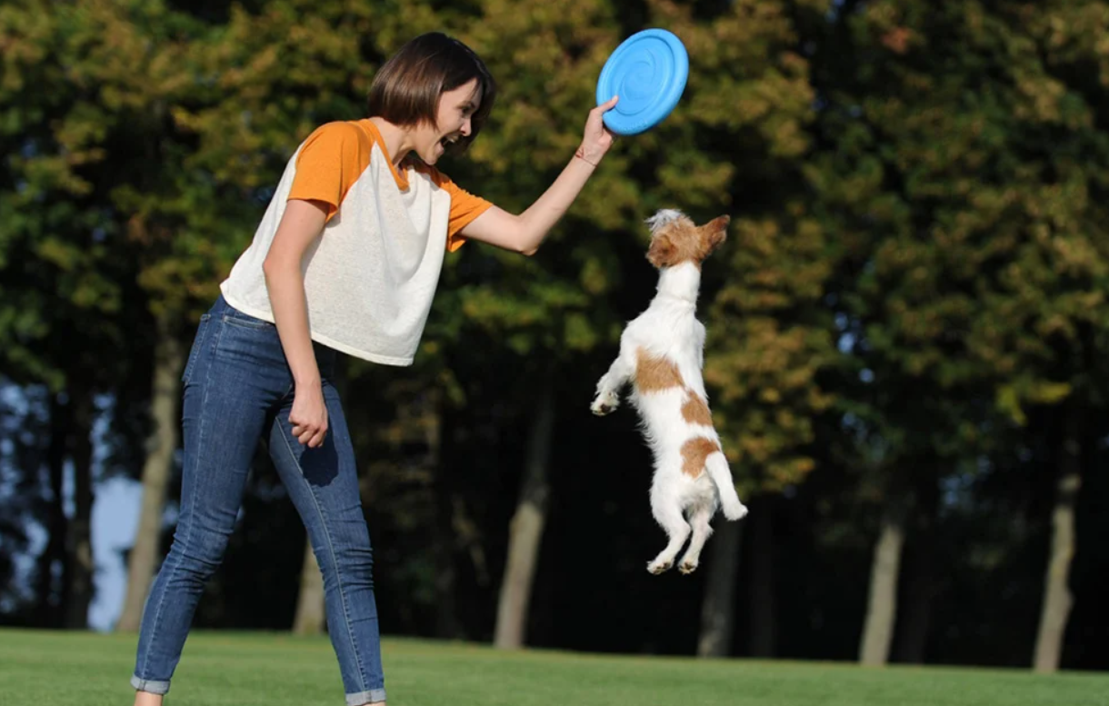 Фрисби Диск Waudog 24 см, синий | Frisbee Disc