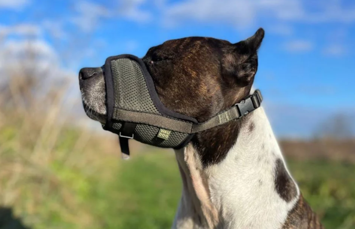 Sieta suņu uzpurnis Waudog Pro S | Mesh dog muzzle