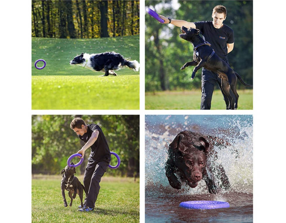 Rubber Interactive Chew Toy for Dogs Puller Micro, 12,5 cm