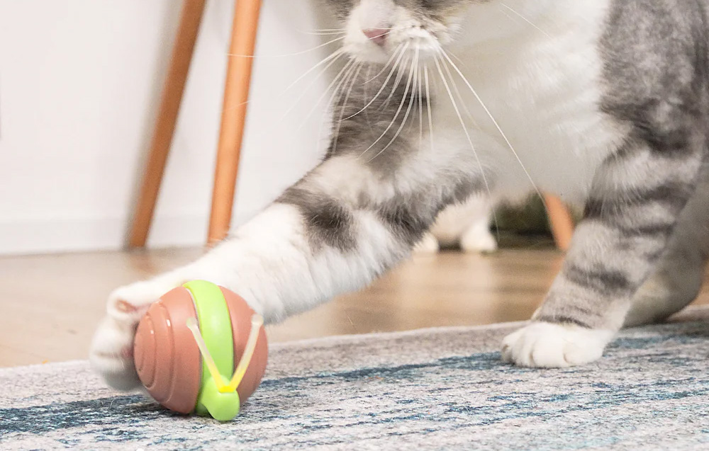 Cheerble Wicked Snail Interaktīvā Gudrā Bumba Ripulis Spēļmanta Mājdzivniekiem Sunim Kaķim | Smart Sensor Play... (2)