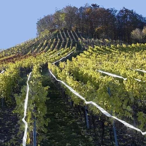 Putnu Atbaidītājs - Lente 45m | Bird Scarer Tape Repest (1)