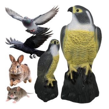 Putnu atbaidītājs - sokolis 23421 | Bird scarer falcon