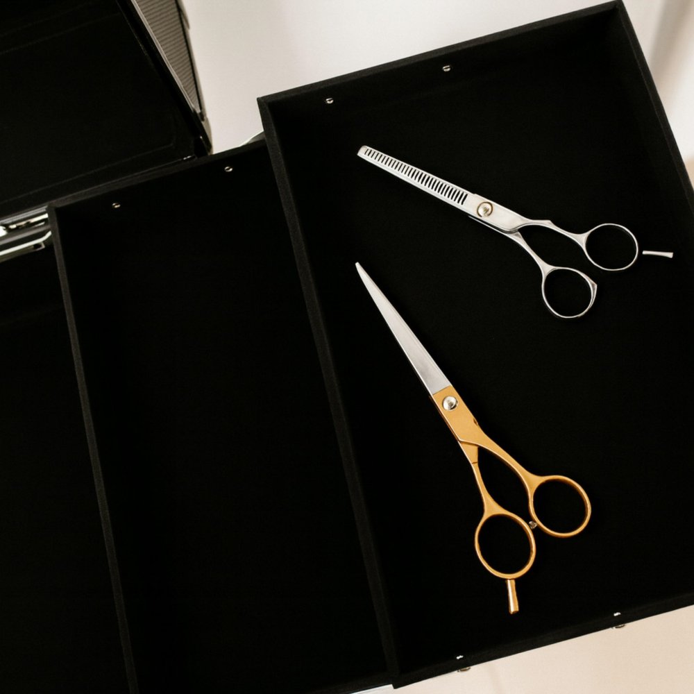 Profesionāls liels kosmētikas koferis, melns (2)