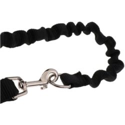 Pavada suņiem pie velosipēda sēdekļa staba | Dog leash for a bicycle (0)