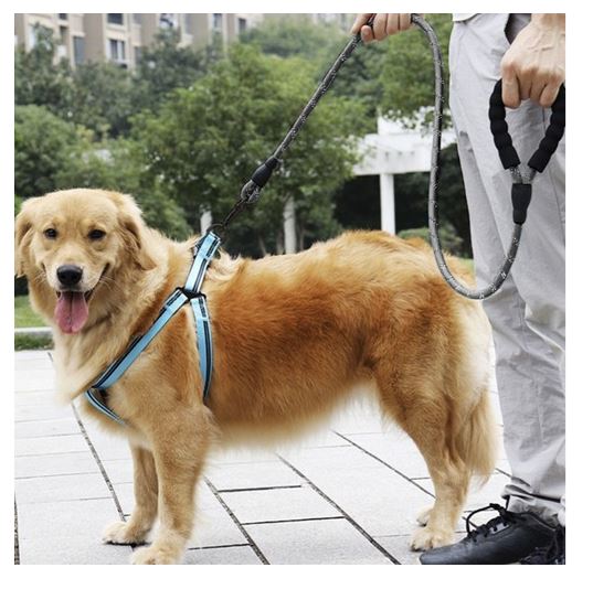 Atstarojoša Suņu Mācību Pavada Siksna 3m Purlov 21654 | Reflective Training Leash (4)