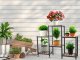 Koka Puķu Plaukts Statīvs, 4 Līmeņu | Wooden Flower Stand
