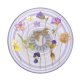 Popsockets PlantCore satvērējs Purple Fields tālruņa turētājs un statīvs – caurspīdīgs