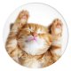 Popsockets 2 Snoozy Cat turētājs un tālruņa statīvs