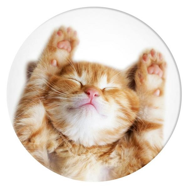 Popsockets 2 Snoozy Cat turētājs un tālruņa statīvs (0)