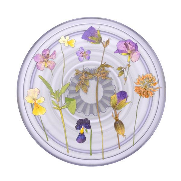Popsockets PlantCore satvērējs Purple Fields tālruņa turētājs un statīvs – caurspīdīgs (0)