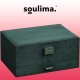 Juvelierizstrādājumu Organizators Bižutērijas Rotaslietu Uzglabāšanas Kaste Lāde, Zaļš | Jewelry Organizer Box