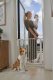 Защитные ворота для лестниц и дверей, 74–105 см, стальные, белые,...